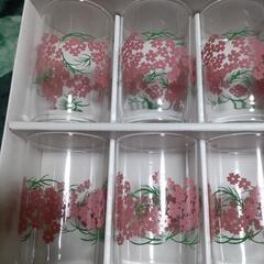 佐々木 グラス コップ 全部での画像