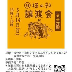 保護猫譲渡会@78猫の部5/14