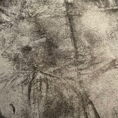 酒田市内　引き取り可能な方！ニトリ ラグ Nウォーム SP 185×185センチ 正方形 ブラウンの画像