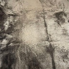 酒田市内　引き取り可能な方！ニトリ ラグ Nウォーム SP 185×185センチ 正方形 ブラウンの画像