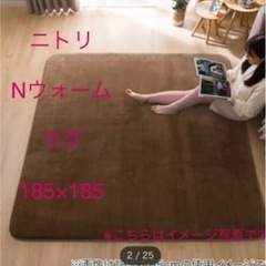 酒田市内　引き取り可能な方！ニトリ ラグ Nウォーム SP 18...