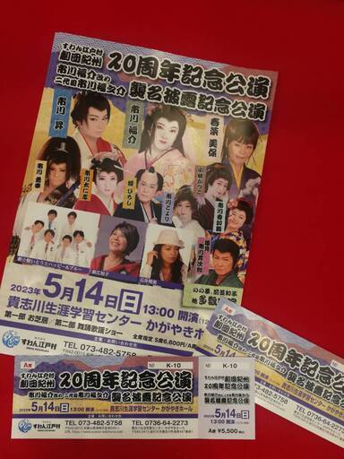 5月14日　すわん江戸村２０周年記念公演チケット　S席1枚　