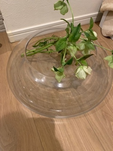 おしゃれなガラスの器