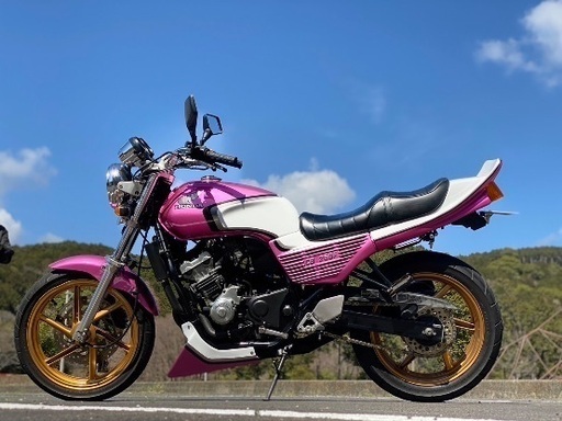 ACP製　CBXカスタムキット　ジェイド250 JADE250 ジェイド JADE 250 CBX仕様 ACP製 CBXカスタムキット ジェイド250