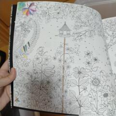 コロリアージュ本の画像