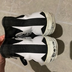 コンバースの画像