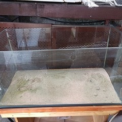 90センチ水槽