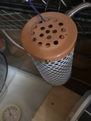 ハリネズミ飼育セット