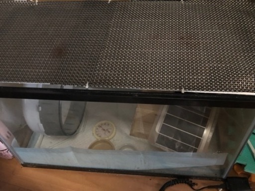 ハリネズミ飼育セット