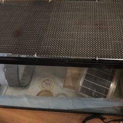 ハリネズミ飼育セット