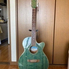 色が綺麗なエレアコです