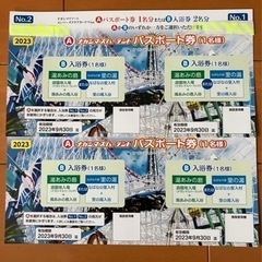 ナガシマスパーランド　パスポート　２枚