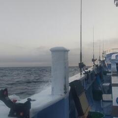 新規🎣🦐釣り👫仲間募集🐟