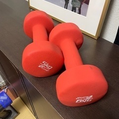 5キロダンベル　2つ