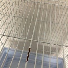大きめの鳥かごケージの画像