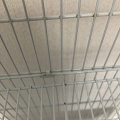 大きめの鳥かごケージの画像