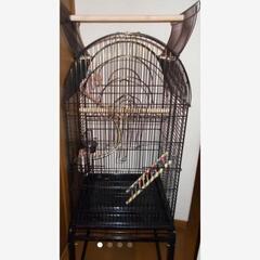 鳥用 ケージ 鳥小屋 大型 中型 インコ オカメ オウム 他