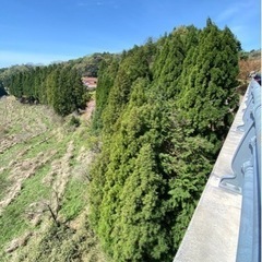 🚨🌱草🌴木の事で悩み事なら🚨