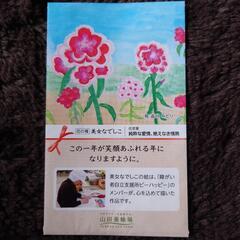 ★交換0円★なでしこ 種