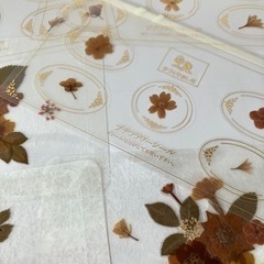 新品　押し花シール　6枚の画像