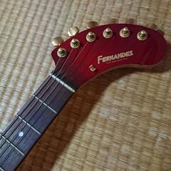 エレキギター ぞうさんの画像