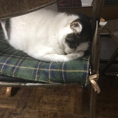 ここに1人あまってます。