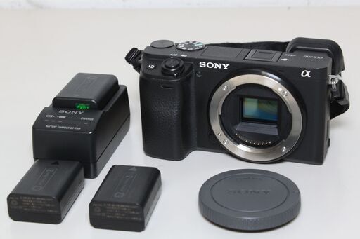 SONY/α6400/ILCE-6400/ミラーレス一眼 ④