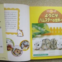 【他何か買っていただける方限定で無料】かわいい！たのしい！　ハムスターの育て方の画像