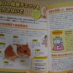 【他何か買っていただける方限定で無料】かわいい！たのしい！　ハムスターの育て方の画像