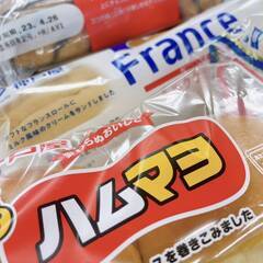 誰もが目にしたことのある有名なパンを製造している工場内での仕分け作業の画像