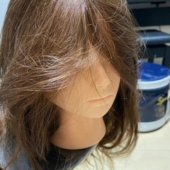 カットウィッグ2個セット