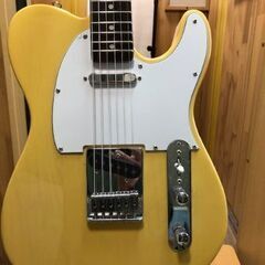 テレキャスター「カスタム製品」の画像