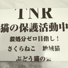 譲渡会開催のお知らせです。