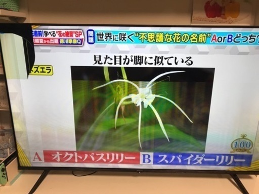 テレビ　専用