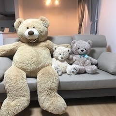 【値下げしました】デカすぎるテディベア🧸【取引予定】