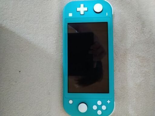 Nintendo switch light(問い合わせ多数の為締め切りしました)