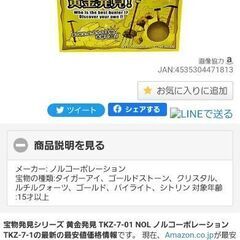 🥇ノルコーポレーション 黄金発見！ 宝さがし ストーンコレクターの画像