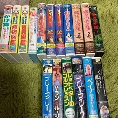 VHSビデオテープ