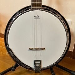 バンジョー kasuga 5弦