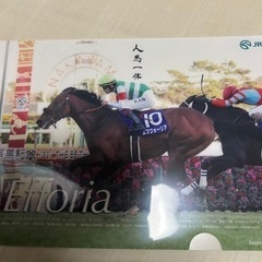 札幌競馬場オリジナルエフフォーリアクリアファイル