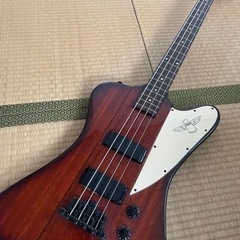 エピフォン　サンダーバード