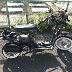 スクーターHONDAキャビーナ90（始動、スロットルOKですが調子良にあらず…レストアベースor部品取車にいかがでしょう）の画像