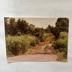 猪苗代湖と磐梯山に囲まれた住宅用・別荘用地譲ります - 土地販売/土地売買