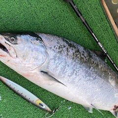 【5月2日宮古　サクラマスジギング（カレイ釣り）】船釣りしません...
