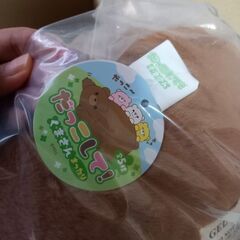 【未開封】　だっこして！くまさん　まったり　茶色　　￥1,300の画像
