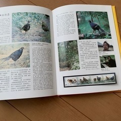 1993年中華民国切手帳の画像