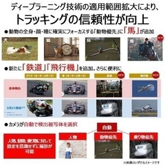 EOS R6 Mark II・RF24-105 IS STM レンズキット ミラーレス一眼カメラの画像