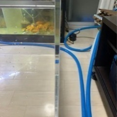 アクリル水槽105×65×45の画像