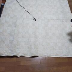 【取引決定済】ホットカーペット
