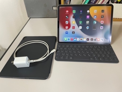 Ipad pro 11 第一世代　512GB